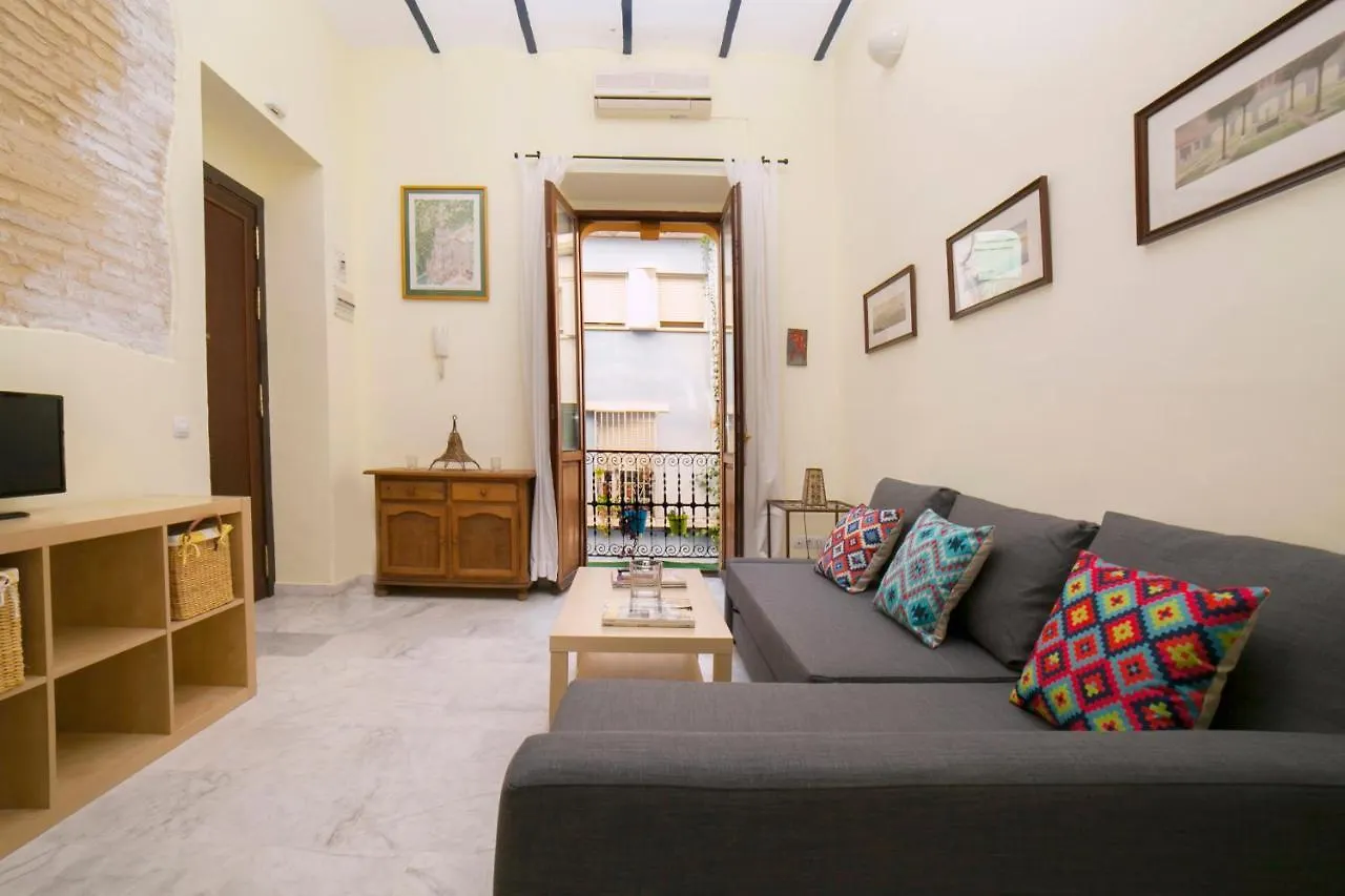 Alohamundi Valvanera Seville